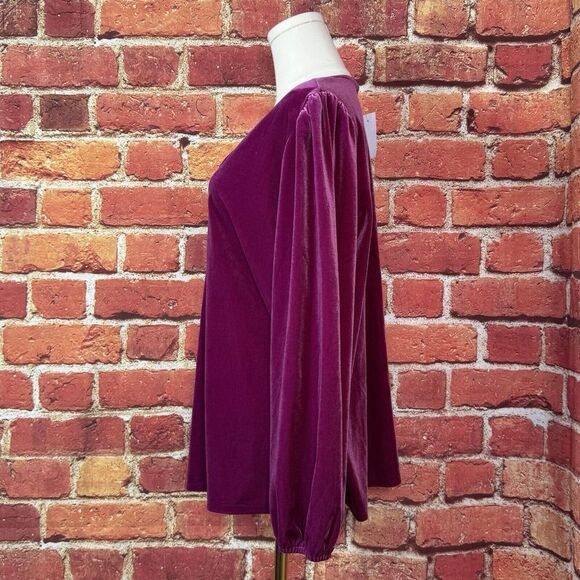 LOFT Women's Purple Velour Long Sleeve‎ V Neck Stretch Size XL NWT $55 - Picture 3 of 12